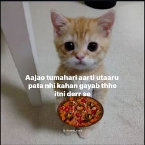 sadcats sticker 2