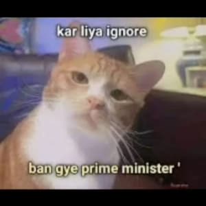 sadcats sticker 4