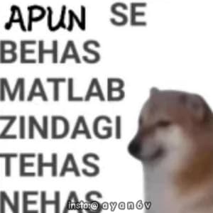 insta ayan6v 03454982068 sticker 3