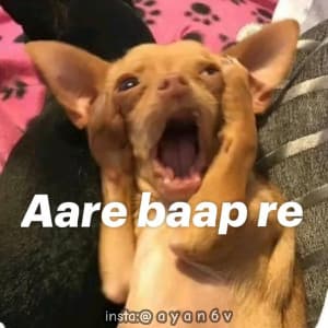 insta ayan6v 03454982068 sticker 4
