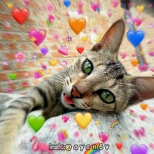 instgram ayan6v TikTok ayaan6v sticker 2