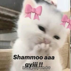 instgram ayan6v TikTok ayaan6v sticker 3