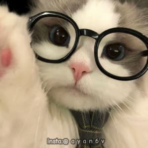 instgram ayan6v TikTok ayaan6v sticker 4