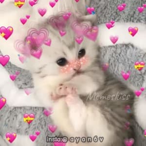 instgram ayan6v TikTok ayaan6v sticker 1