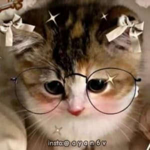 instgram ayan6v TikTok ayaan6v sticker 2