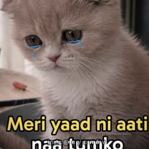 instgram ayan6v TikTok ayaan6v sticker 3