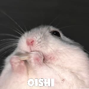 hamster desuwa sticker 5