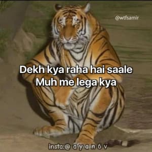 insta ayan6v 03454982068 sticker 5