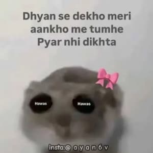 insta ayan6v 03454982068 sticker 9