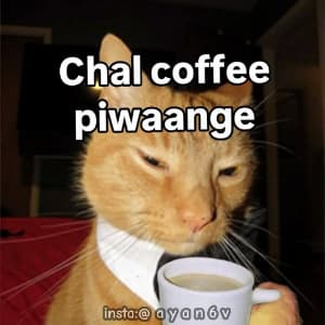 insta ayan6v 03454982068 sticker 2