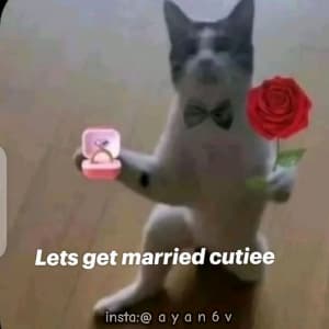 insta ayan6v 03454982068 sticker 3